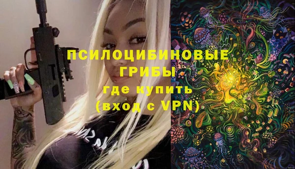 прущие грибы Нязепетровск
