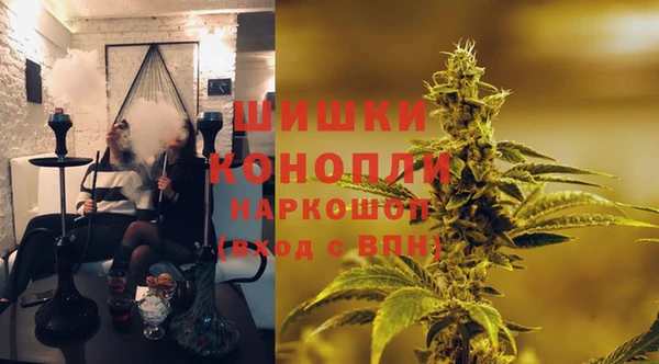 прущие грибы Нязепетровск