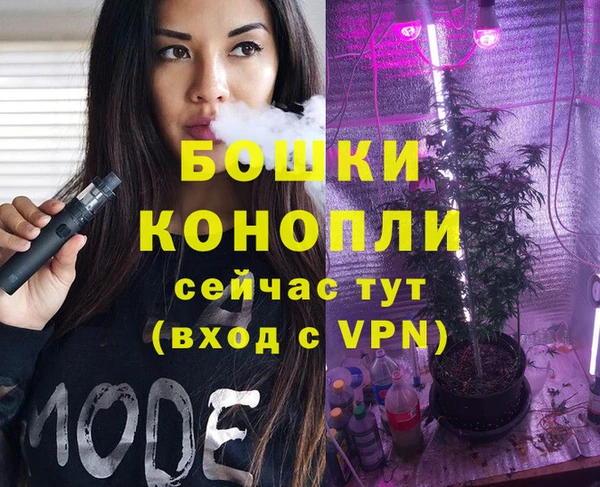 прущие грибы Нязепетровск