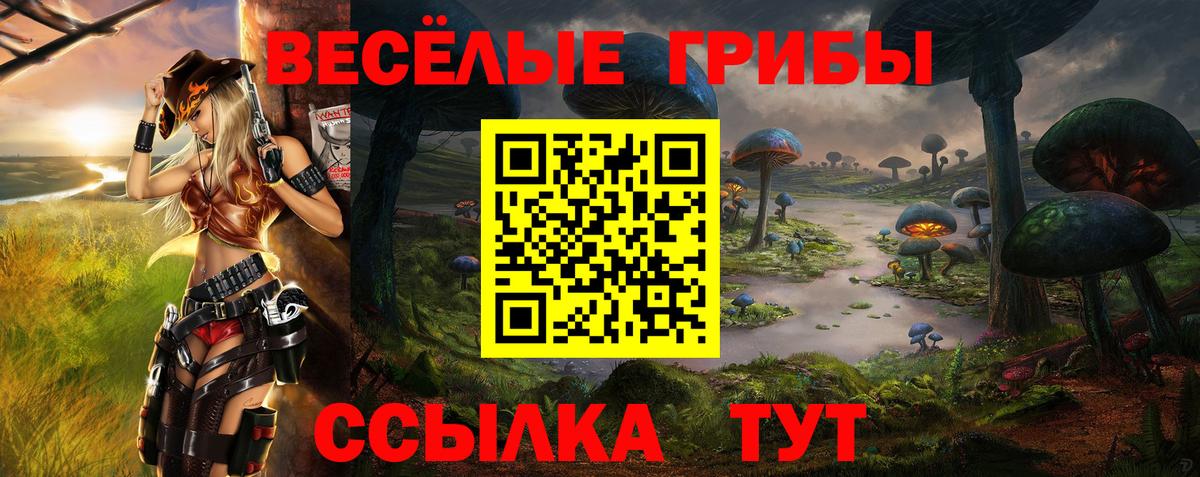 Галлюциногенные грибы Psilocybine cubensis  Галлюциногенные грибы Cubensis  Вход с VPN  Россошь 